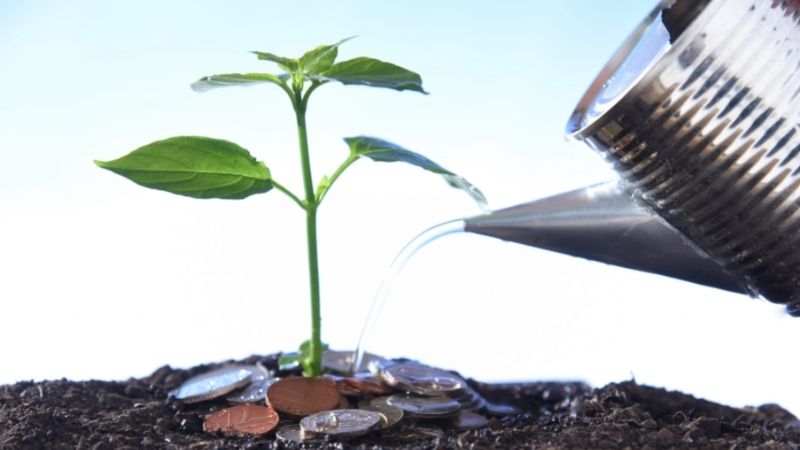 Small Investment Can Bring Huge Fortune