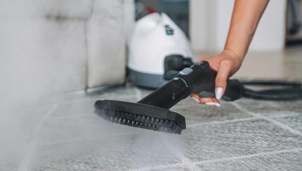Steam Cleaners