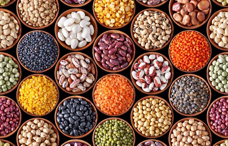 Wich Type Of best Healthy Beans You Can Eat?