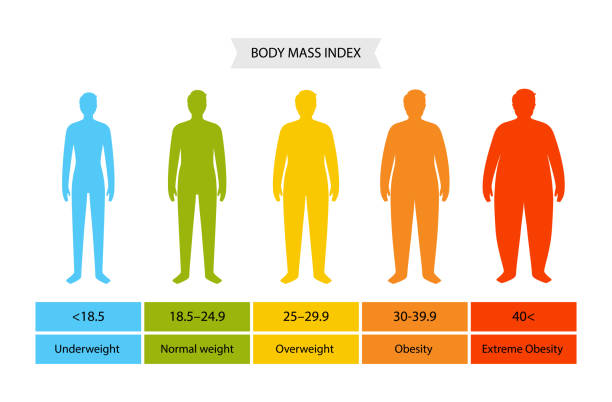 BMI Calculator BMI chart?