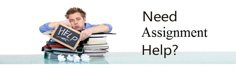 assignment help