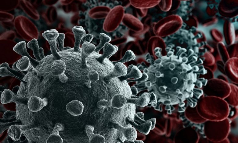 the Novel Coronavirus