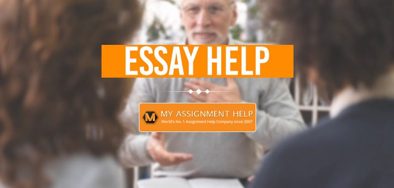 Essay paper help