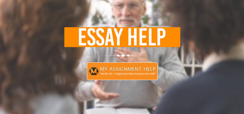 Essay paper help