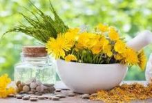 Herbal Remedies
