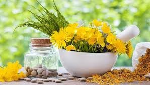 Herbal Remedies