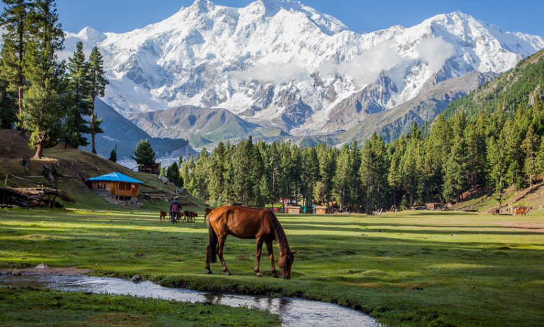 fairy meadows tour