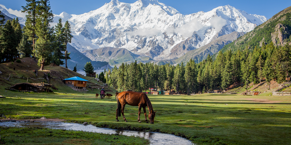 fairy meadows tour