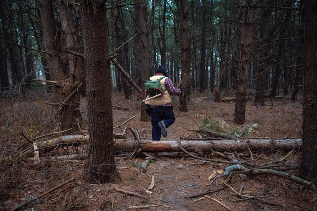 Survivalist