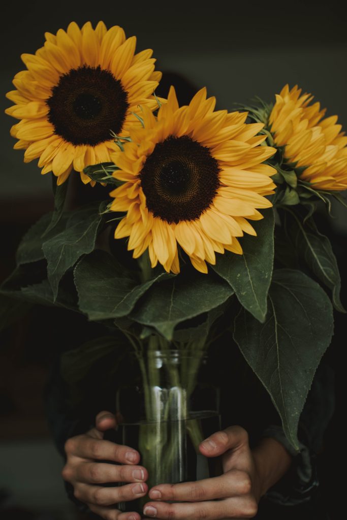 Flower Delivery washington
