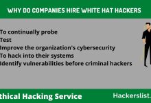 Why Isabel white hat hackers the new black?