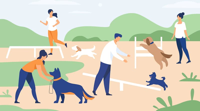 dog grooming