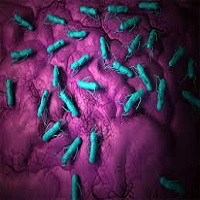 Salmonella analysis