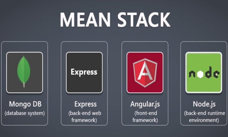 Mean stack web development