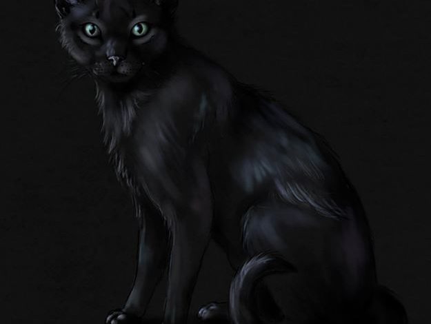 Draw A cat