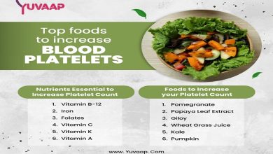 Top Foods To Increase Blood Platelets