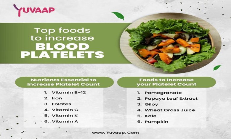 Top Foods To Increase Blood Platelets